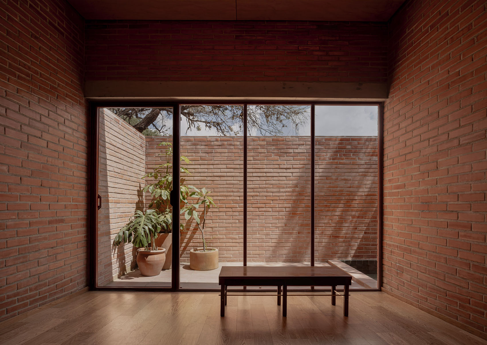 Casa Pirules