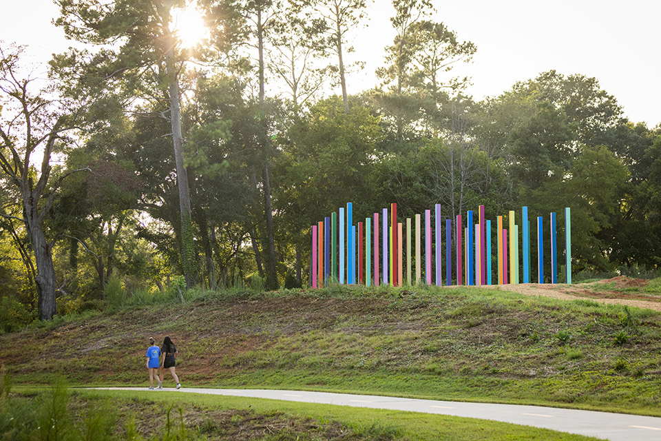Rainbow Forest