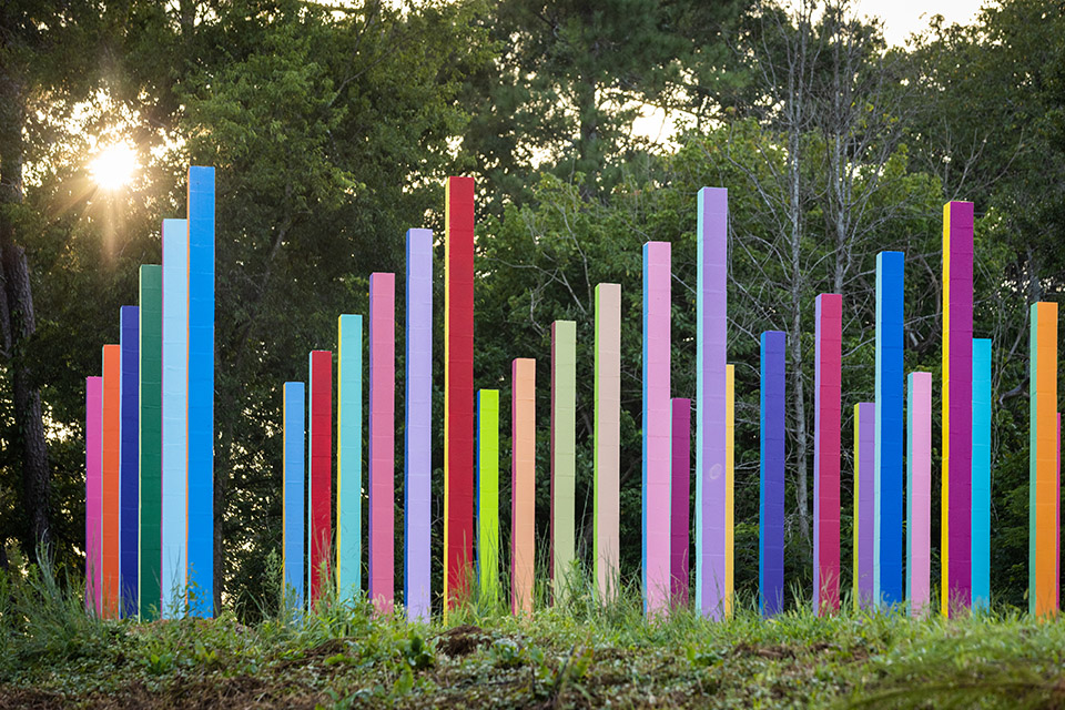 Rainbow Forest