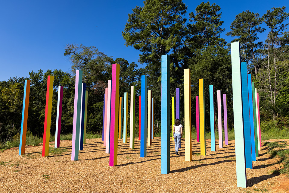 Rainbow Forest