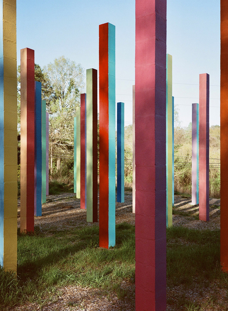 Rainbow Forest