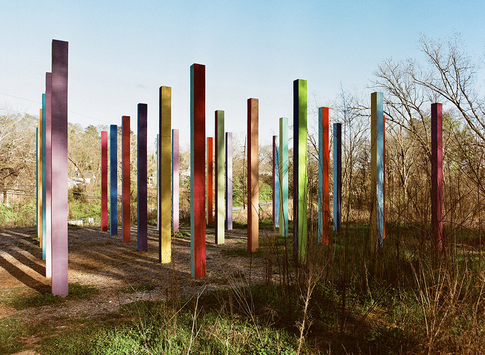 Rainbow Forest