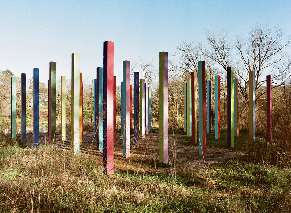 Rainbow Forest