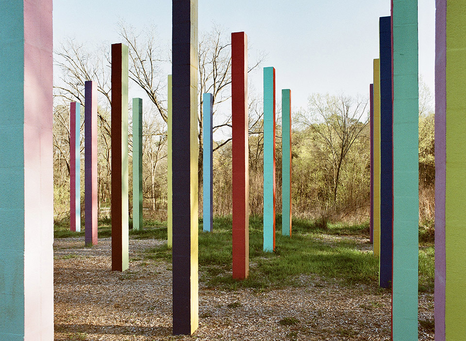 Rainbow Forest