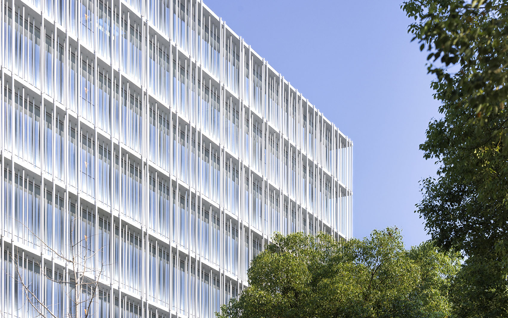 MULSANNE GROUP Headquarters building