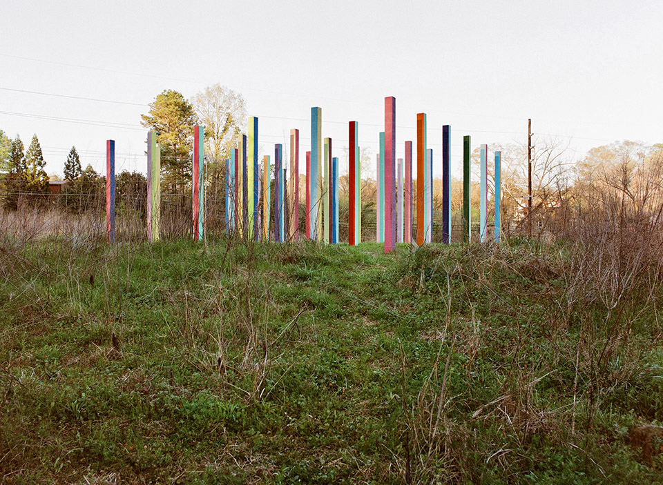 Rainbow Forest
