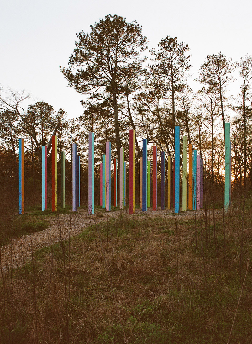 Rainbow Forest