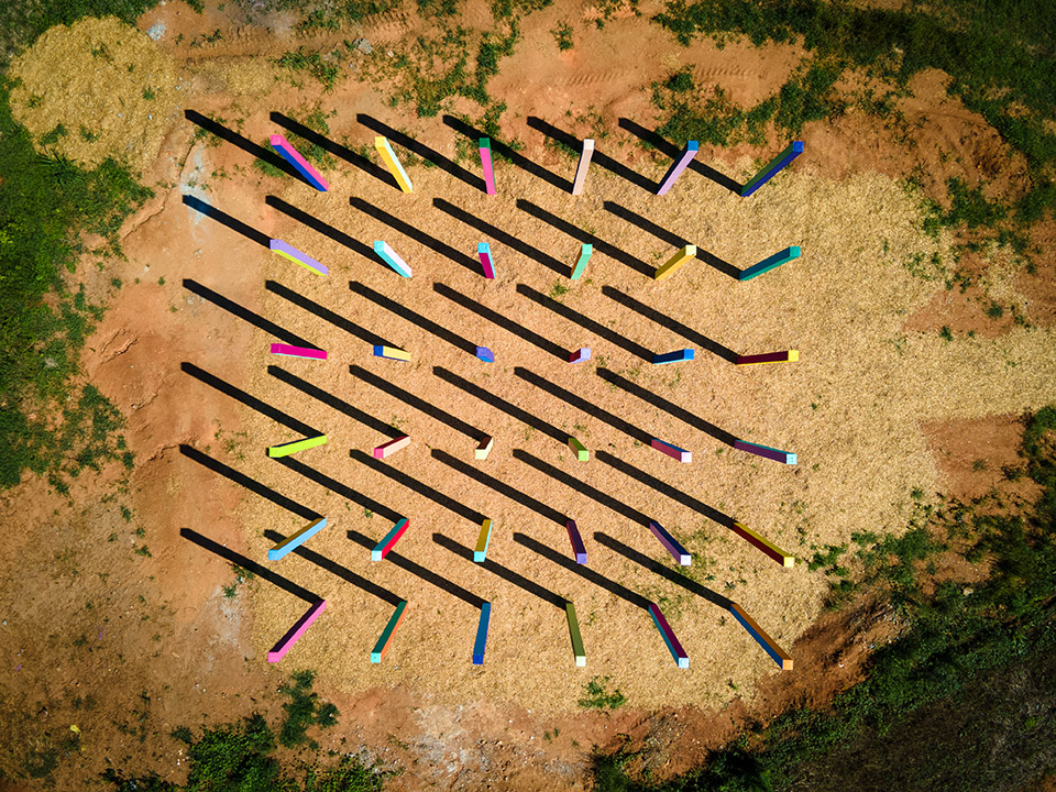 Rainbow Forest
