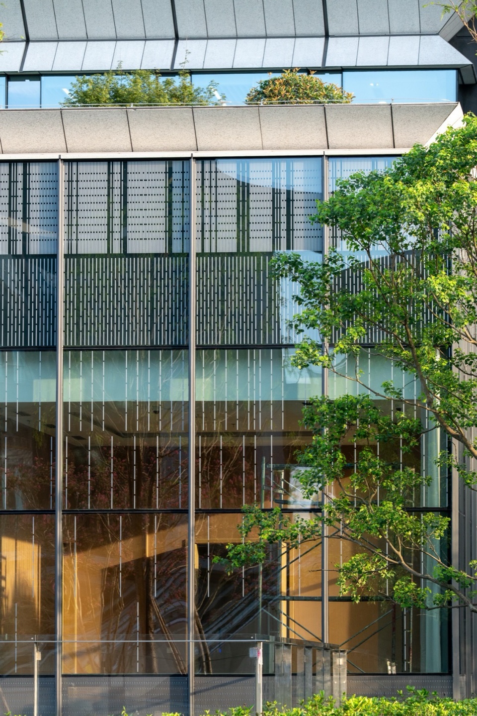 The Innovation and Science Center for Water Development by CSWADI