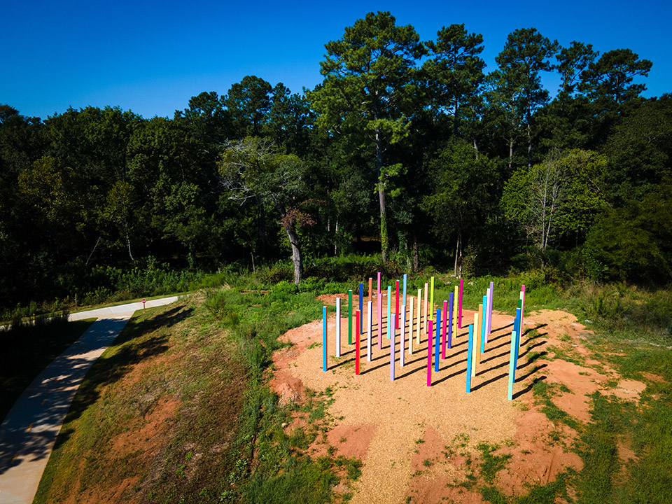 Rainbow Forest