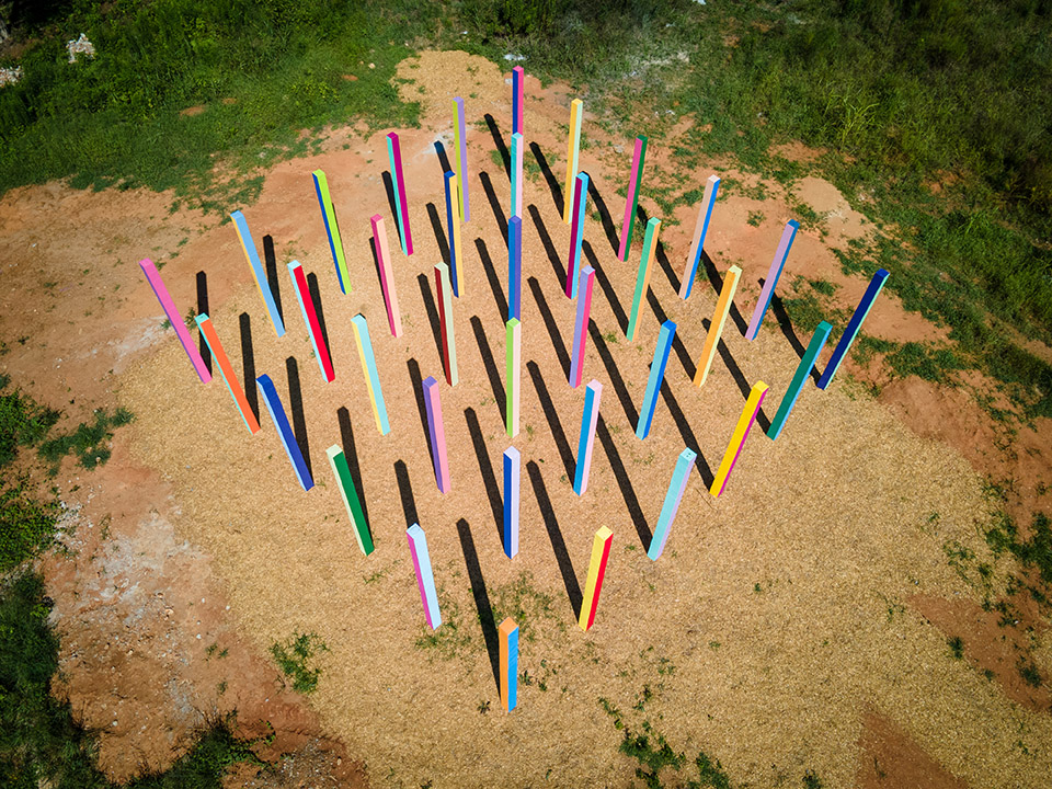 Rainbow Forest