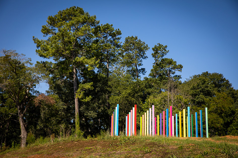 Rainbow Forest