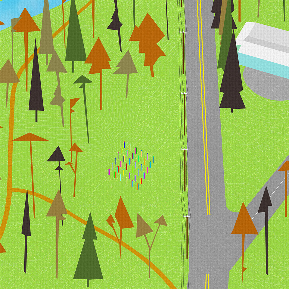 Rainbow Forest