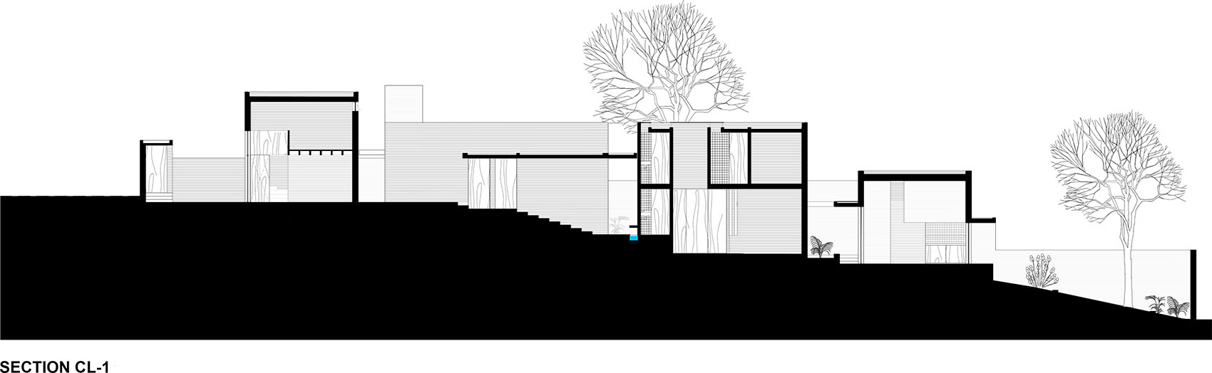 Casa Pirules