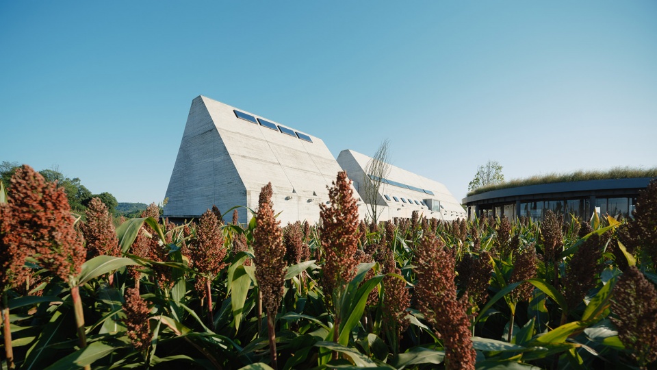 joybo farm by wt architects 1