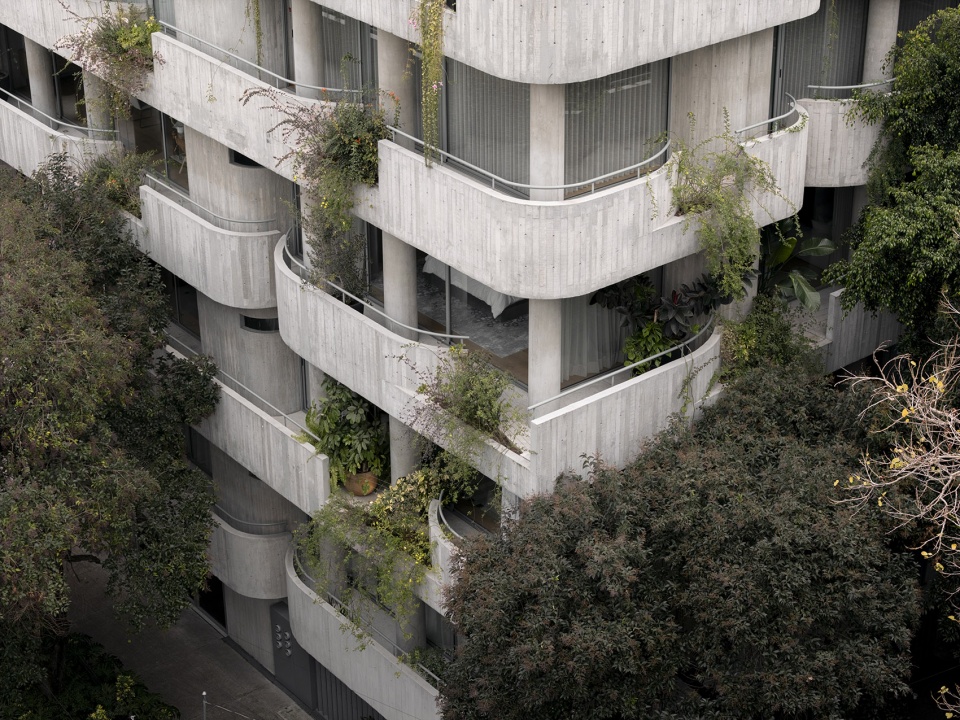 c294 apartments by michan architecture