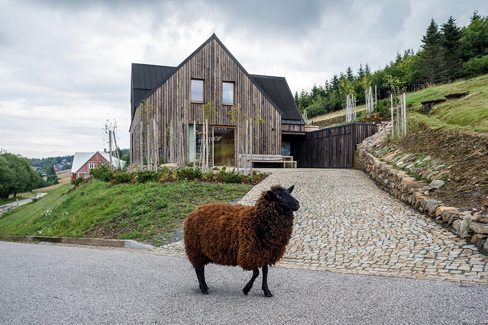 The mountain chalet 10
