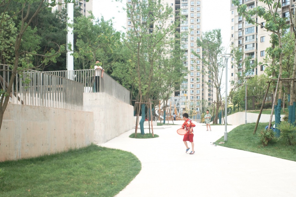 after school pine woods park by office fuli