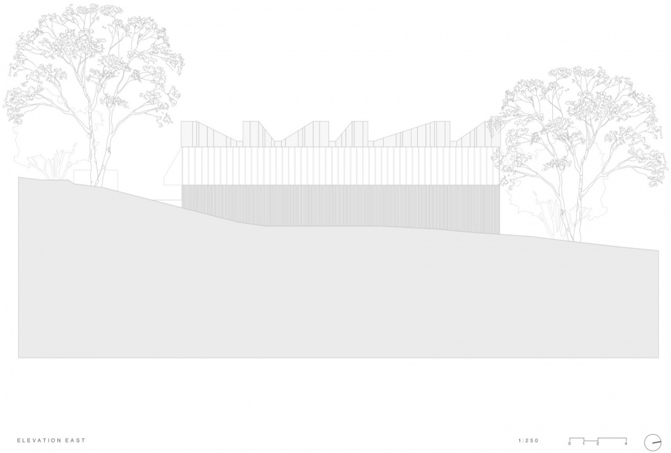 lane cove house by lachlan seegers architect