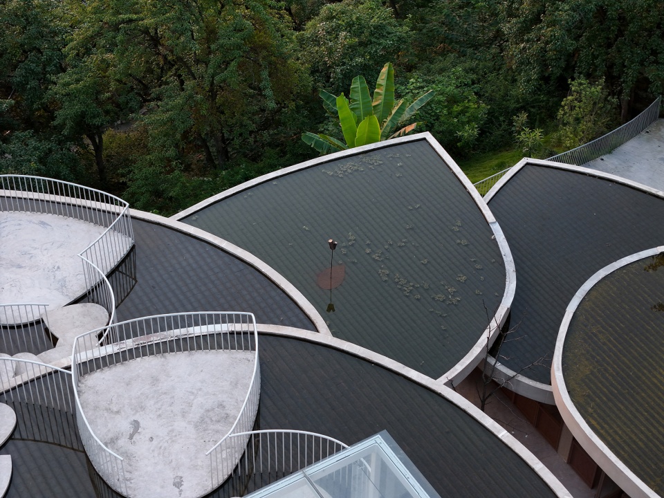 buzzy sunny feixue pavilion by archermit