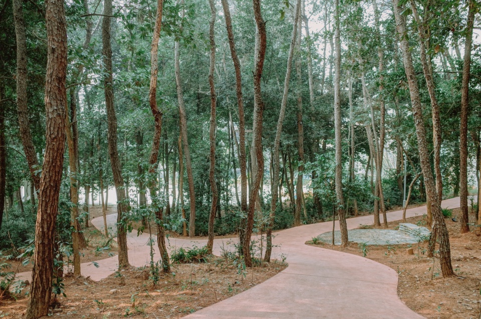 after school pine woods park by office fuli