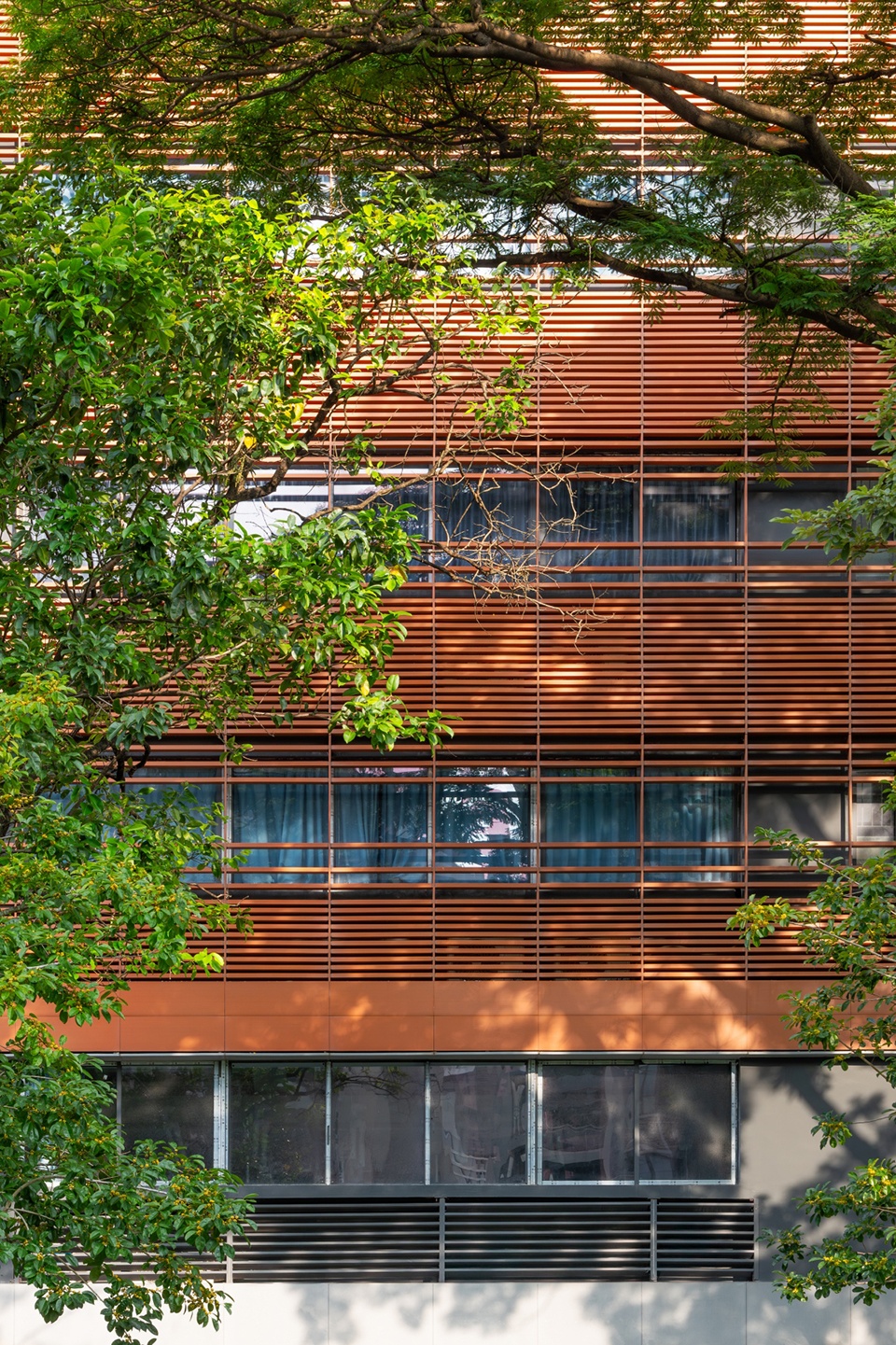 Shenzhen Hongling Education Group Huafu Experimental School