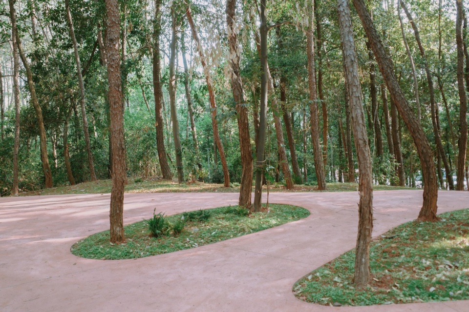 after school pine woods park by office fuli