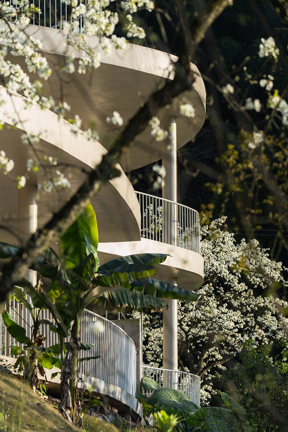 buzzy sunny feixue pavilion by archermit