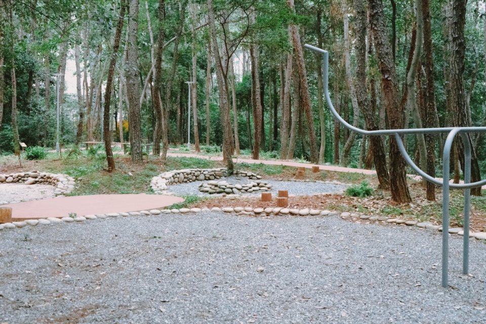 after school pine woods park by office fuli