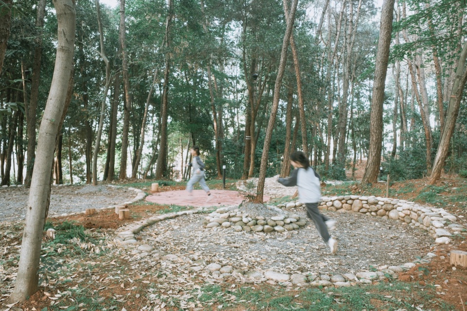 after school pine woods park by office fuli