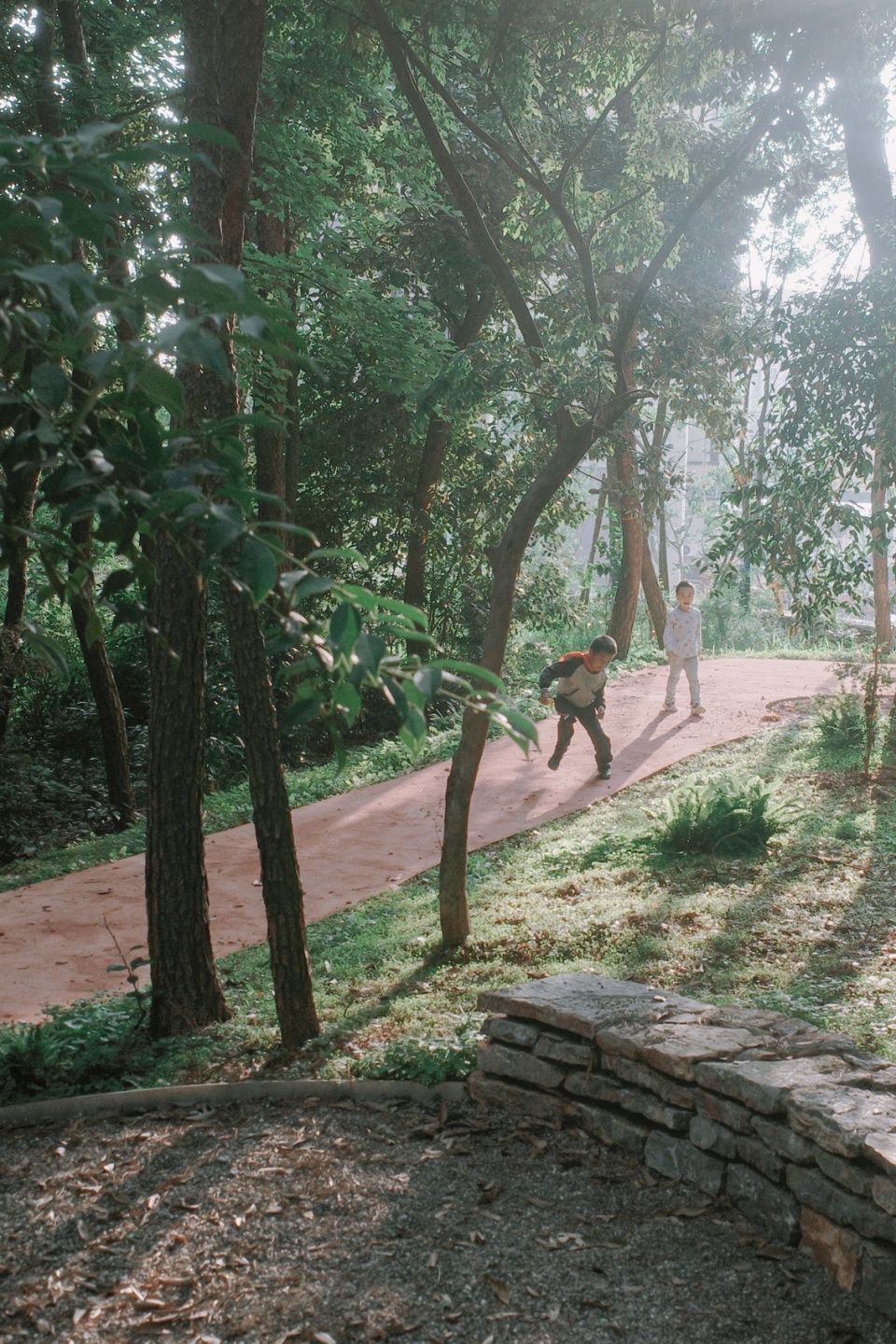 after school pine woods park by office fuli