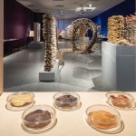 gooood合辑：城市策展项目（2012-2025）
