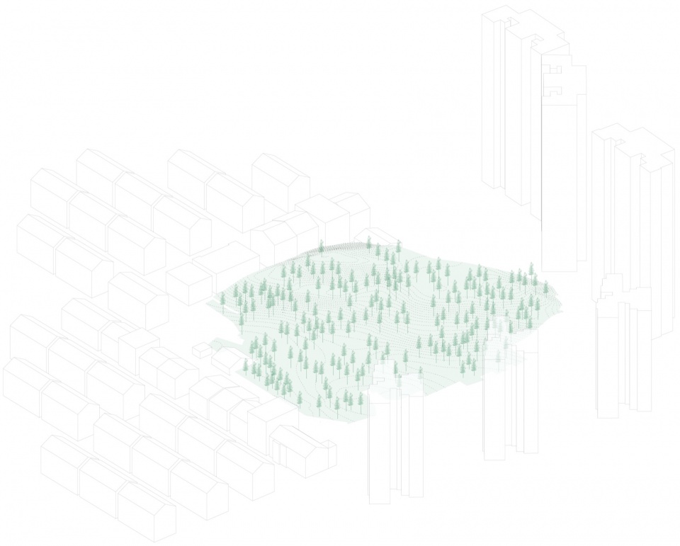 after school pine woods park by office fuli
