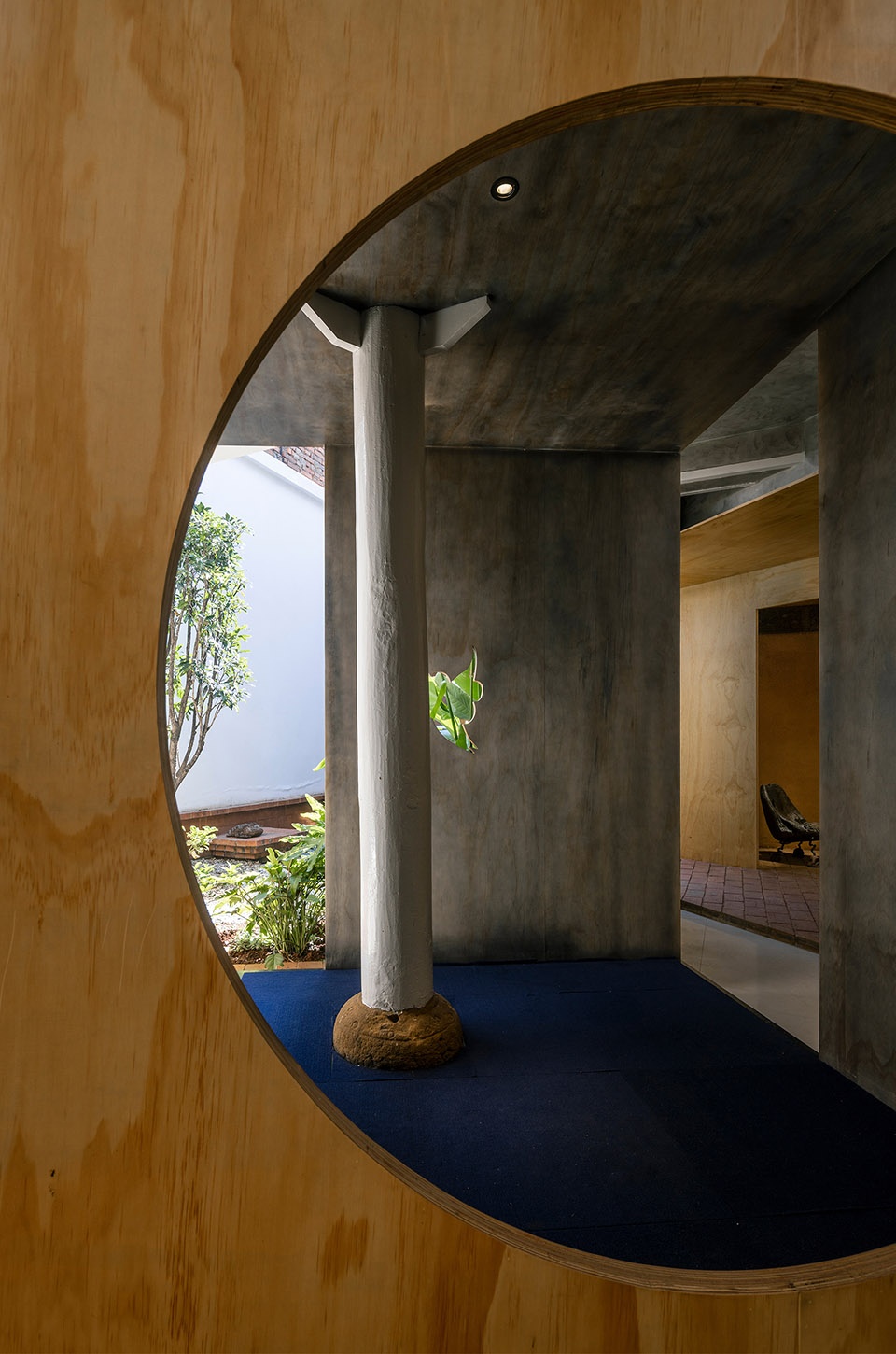 vigorous blooms courtyard by edge architects
