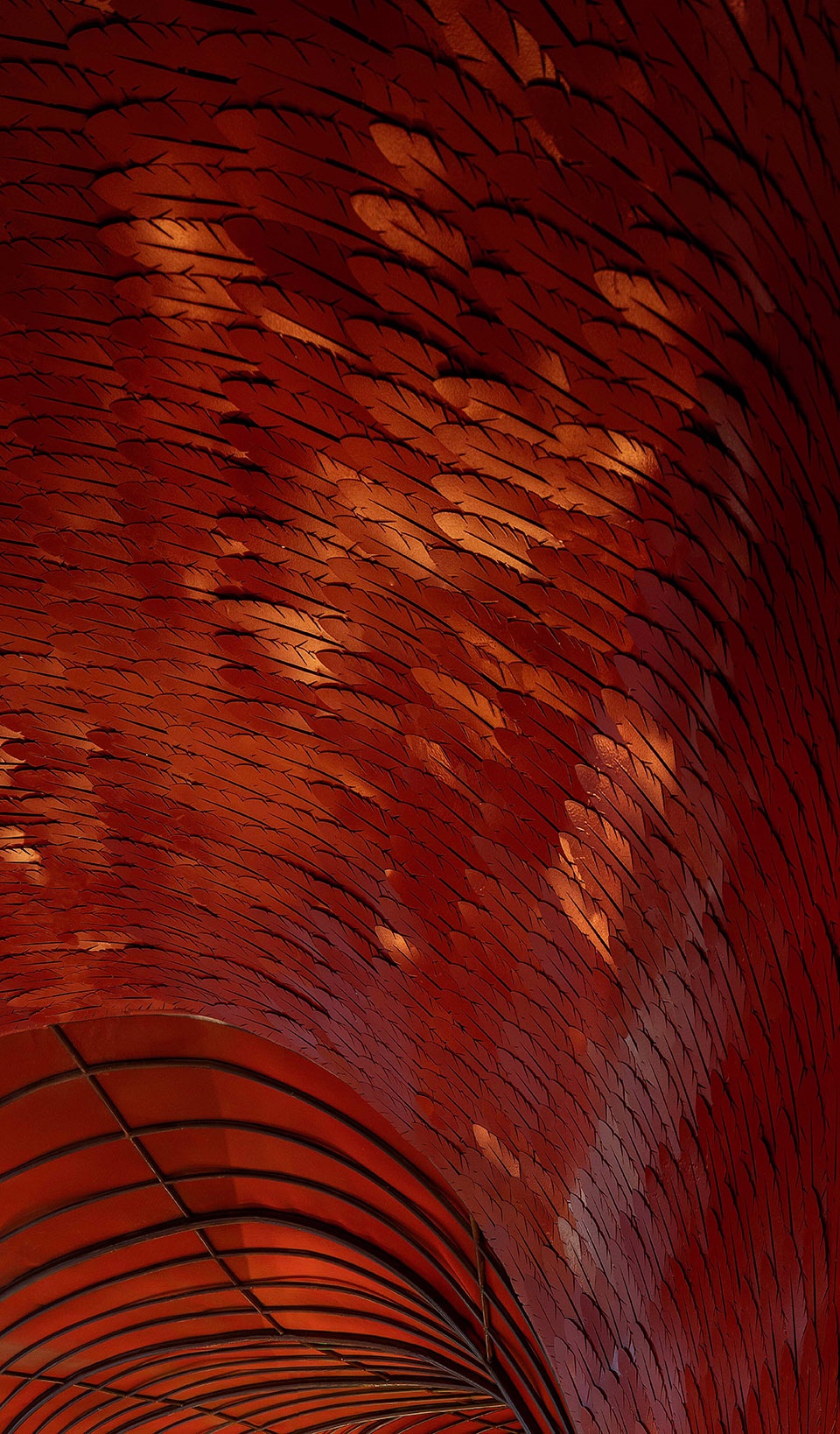 red hotpot by jingle design