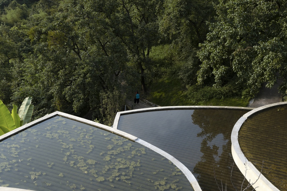 buzzy sunny feixue pavilion by archermit