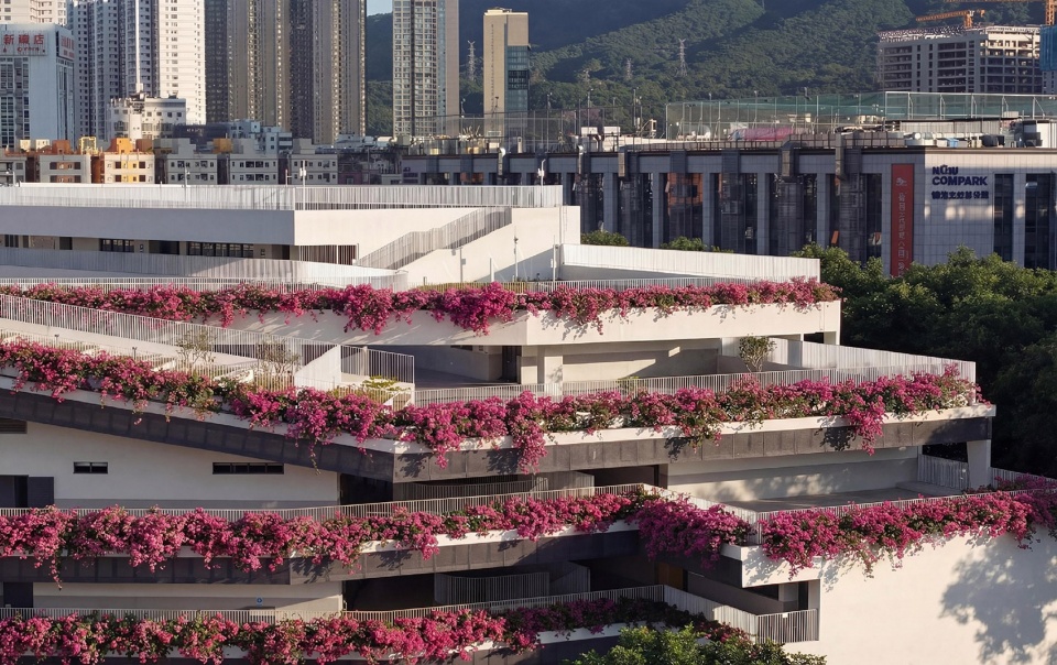 redevelopment of pingshan elementary school into a nine year integrated school by ccdi dongxiying studio