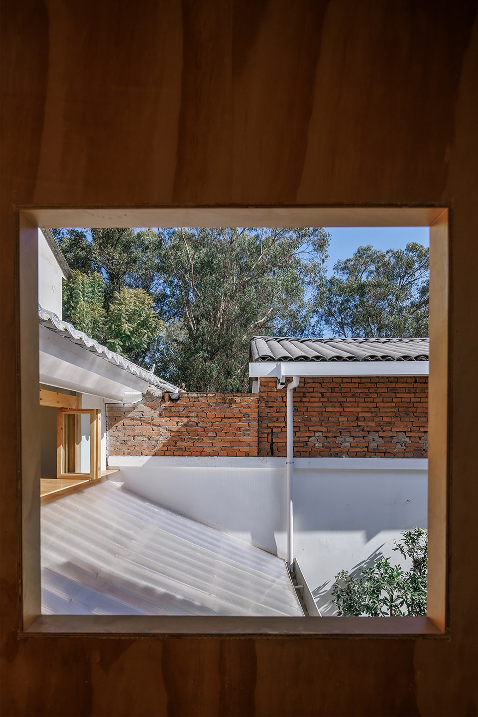 vigorous blooms courtyard by edge architects
