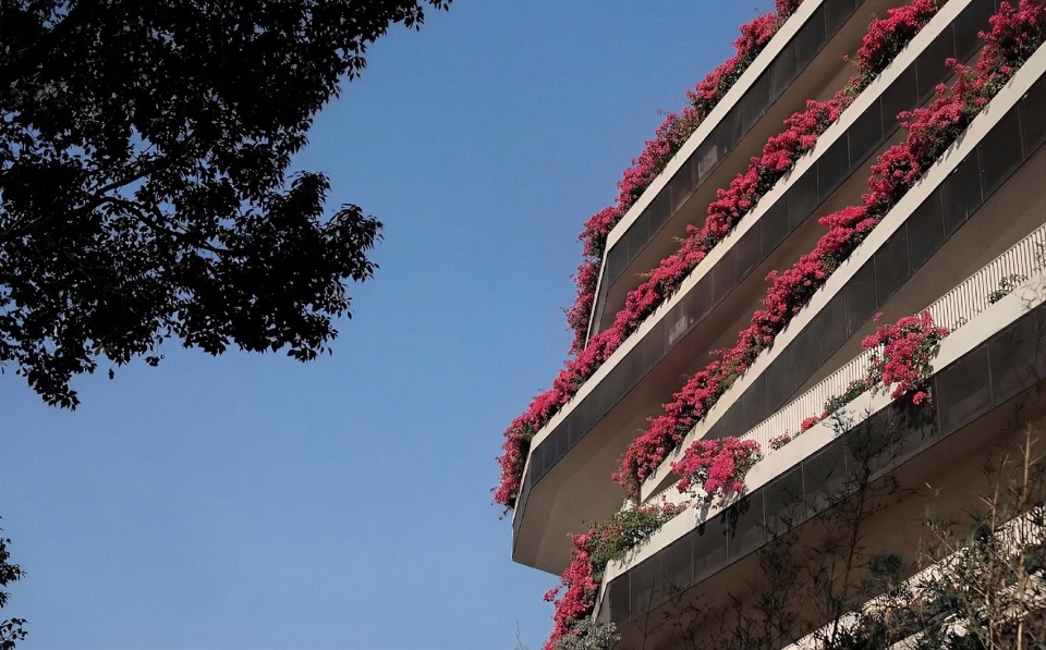 redevelopment of pingshan elementary school into a nine year integrated school by ccdi dongxiying studio