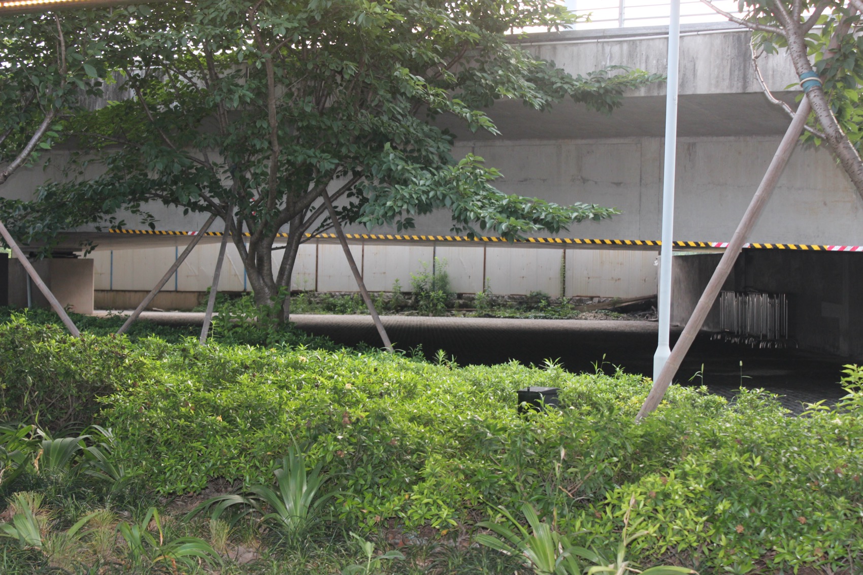 Arena Under Bridge