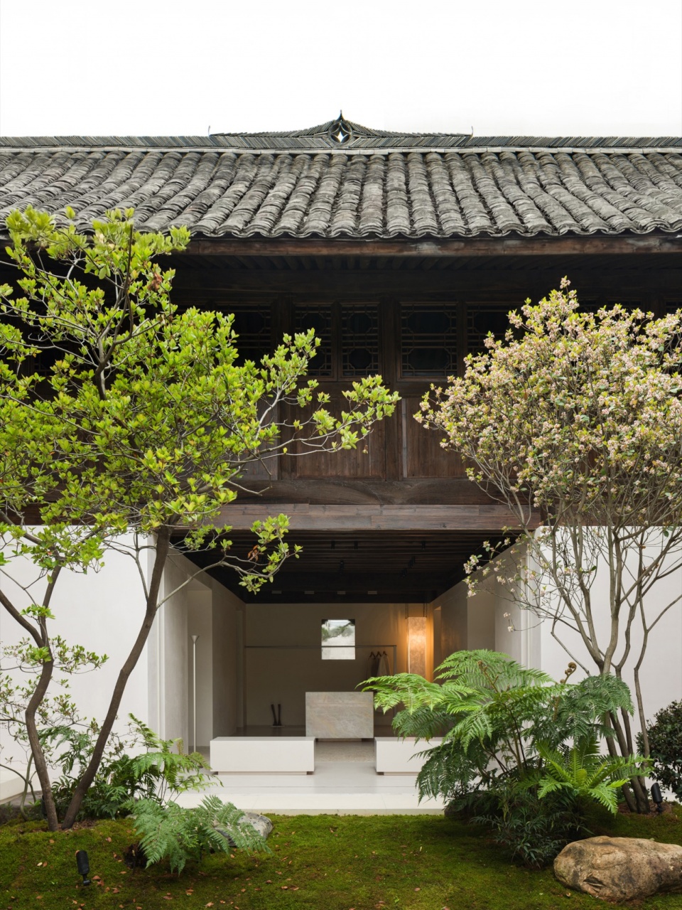 t wan by zhixiang design