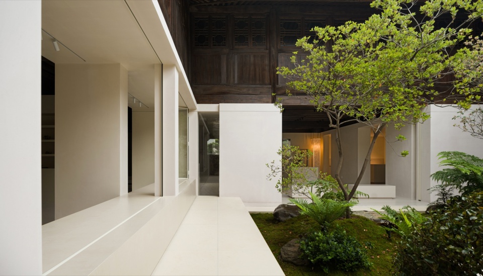 t wan by zhixiang design