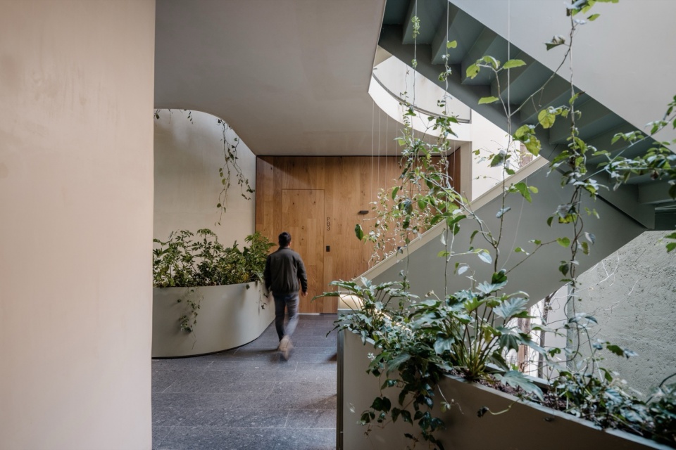 ONTO alvaro Obregon by CRB Arquitectos