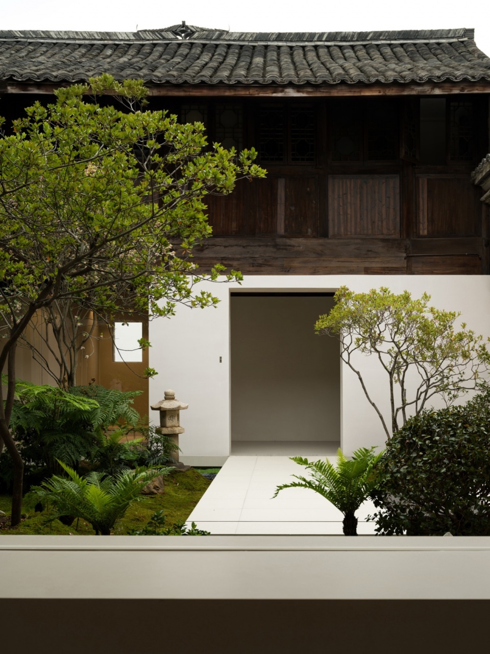 t wan by zhixiang design
