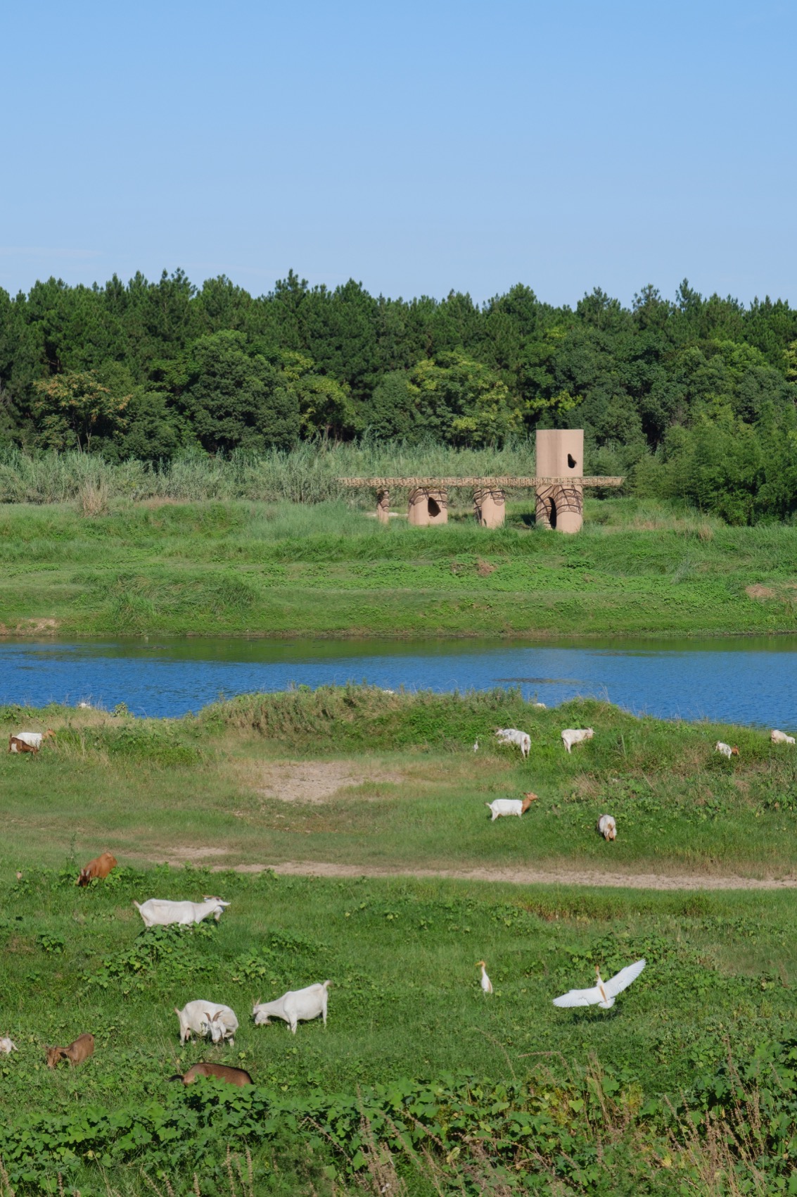 Wetland Caves