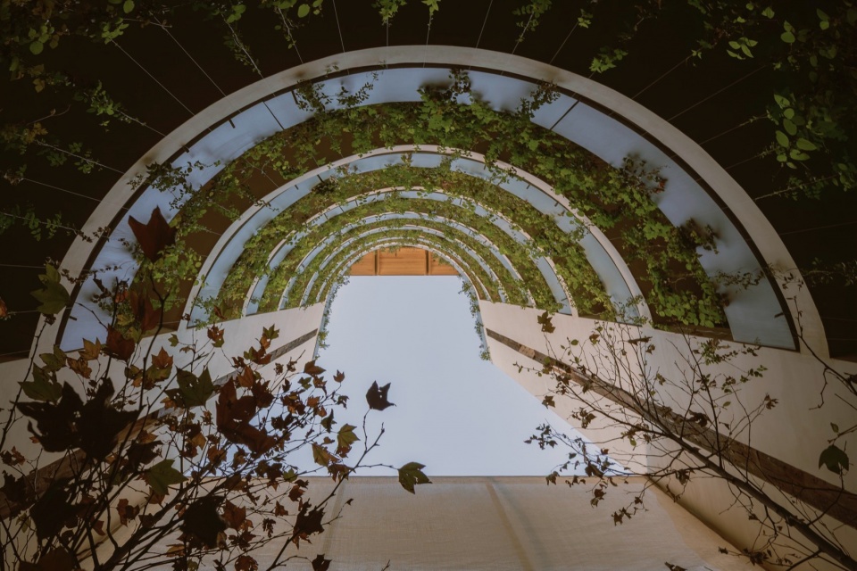 ONTO alvaro Obregon by CRB Arquitectos