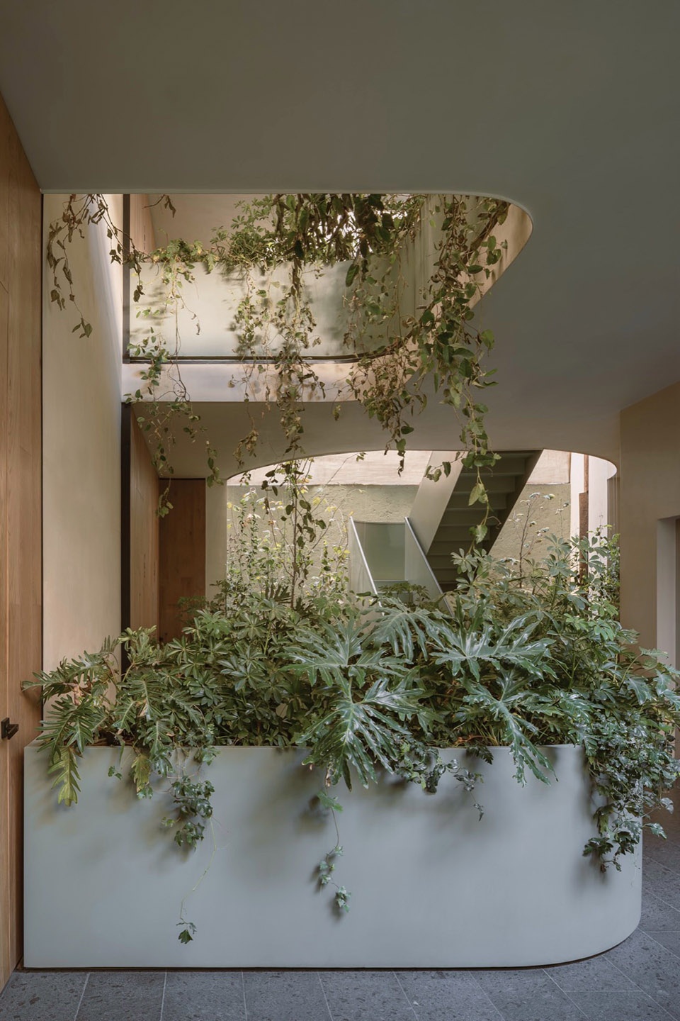 ONTO alvaro Obregon by CRB Arquitectos