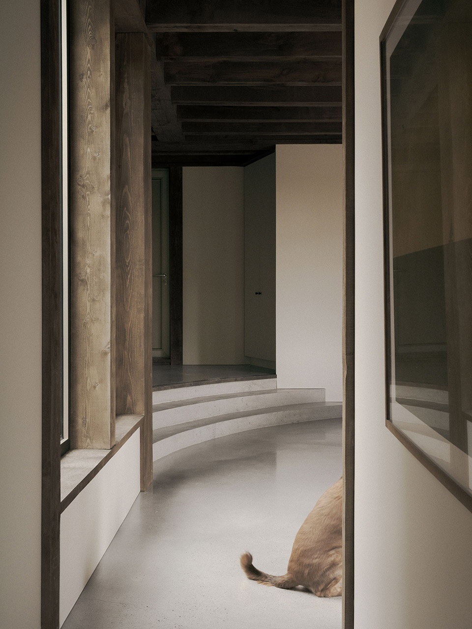 sono by atelier carle