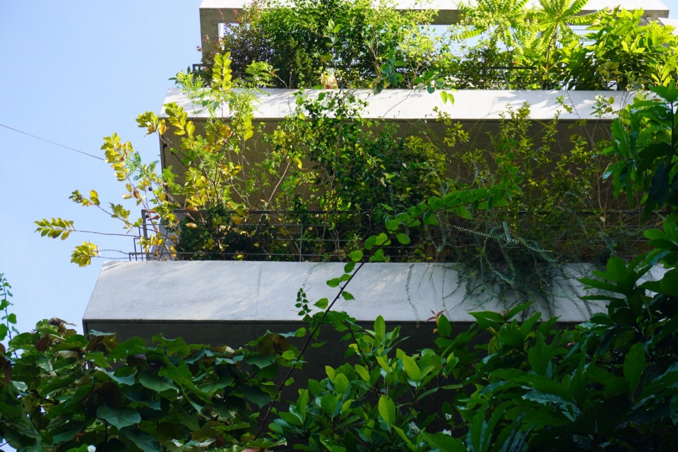 taa office by taa design