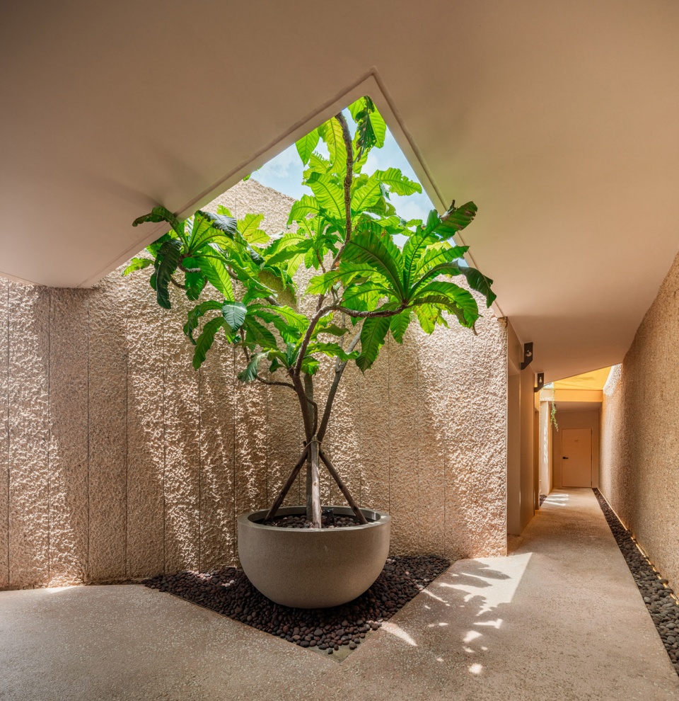 harudot khaoyai cafe by idin architects